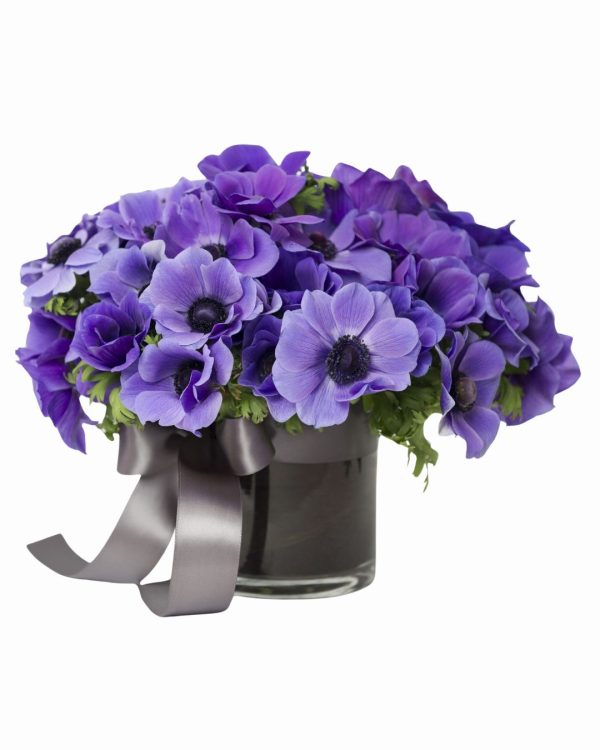 Bouquet di Viole