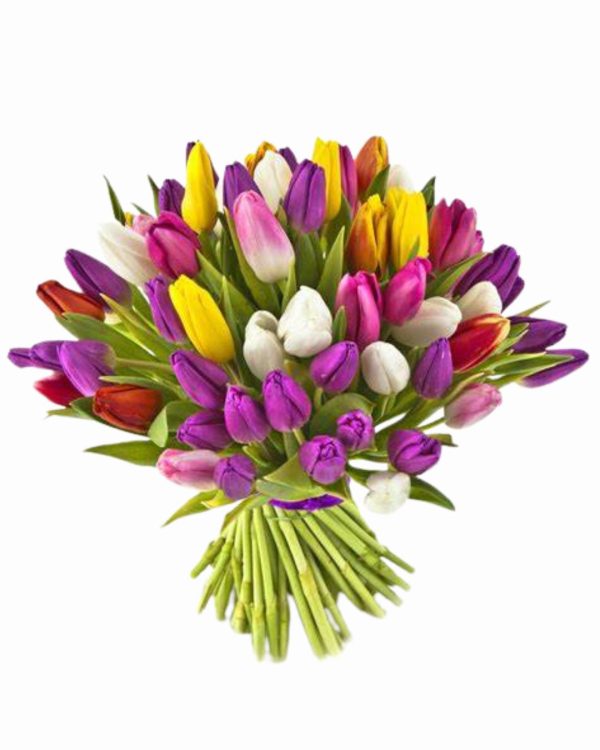 Bouquet di Tulipani